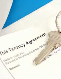 Tenancy Tenant Occupier Landlord